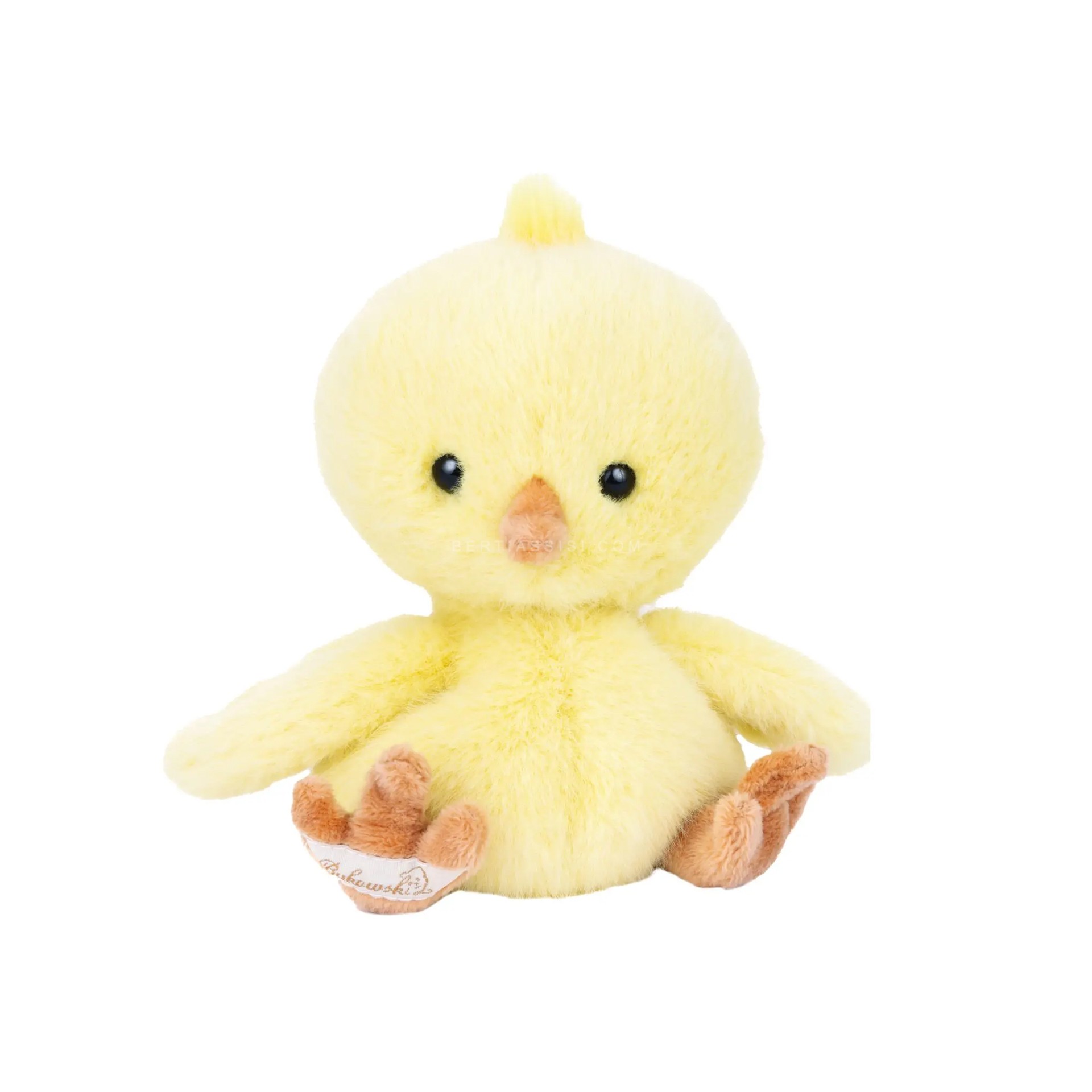 Baby-Chicky-1